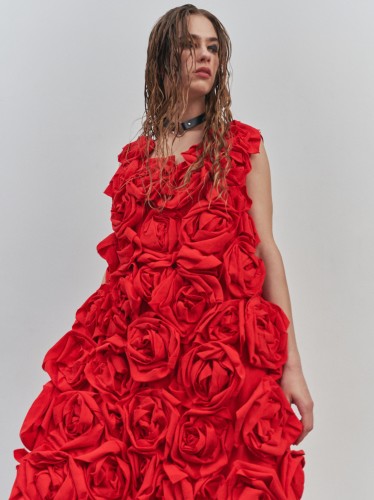 RED DRESS ROSES